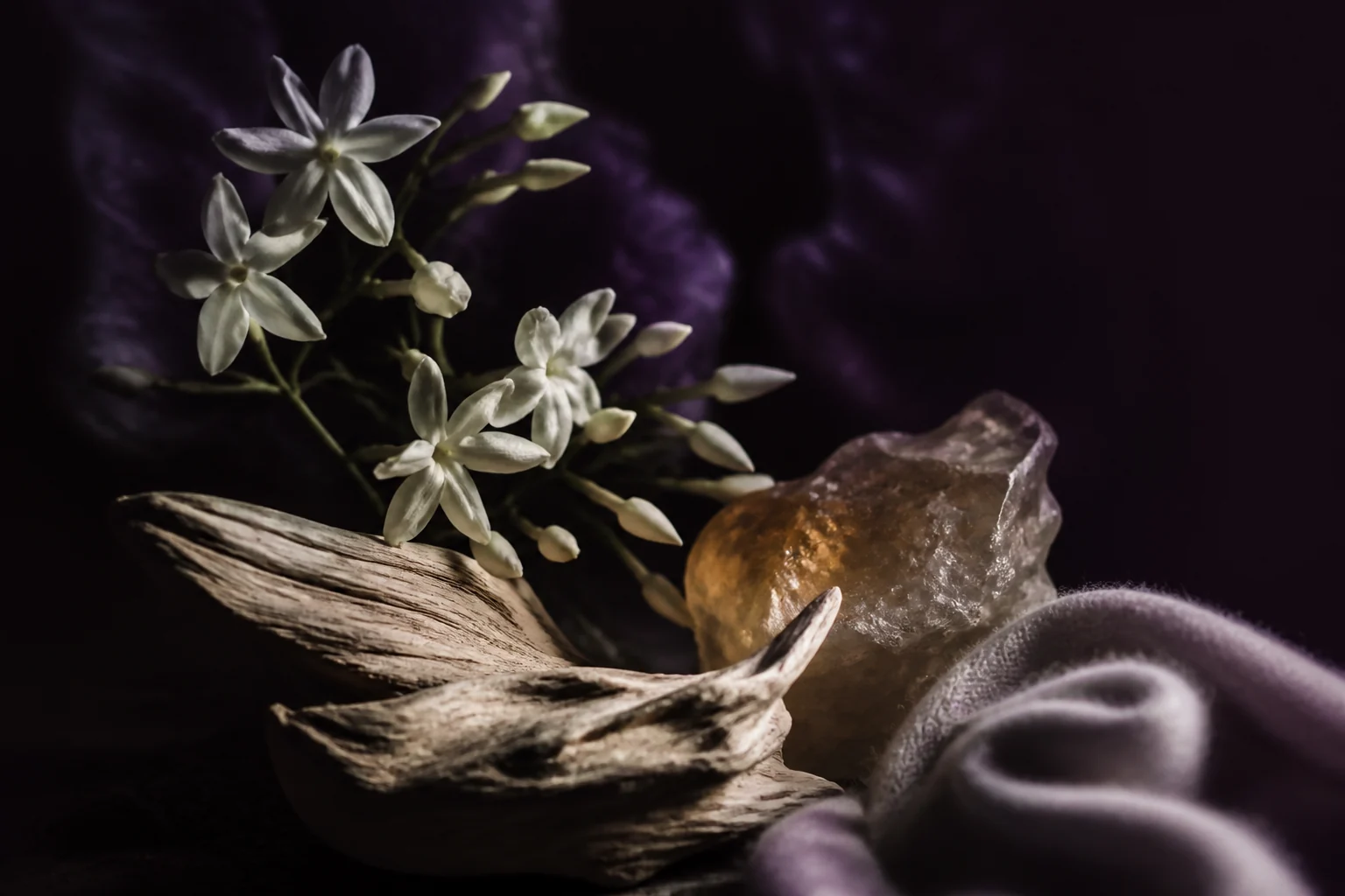 Gelsomino bianco, legno chiaro, ambra traslucida e tessuto viola in un’atmosfera notturna
