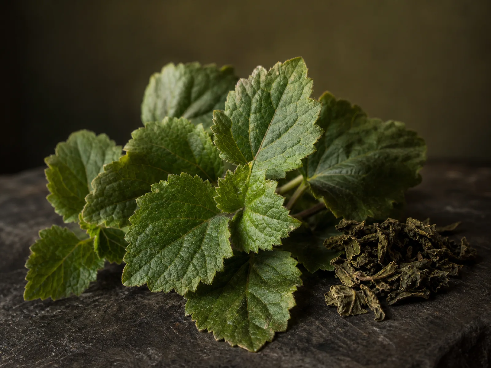 Immagine evocativa dell’accordo olfattivo patchouli