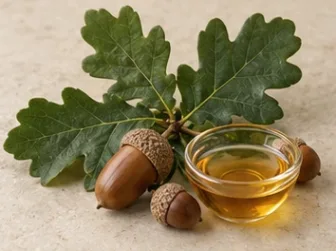 Rappresentazione evocativa: quercia