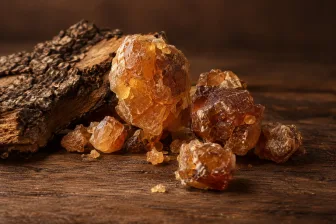 Resina di benzoino ambrata accanto alla corteccia