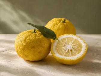 Immagine evocativa dell’accordo olfattivo Yuzu