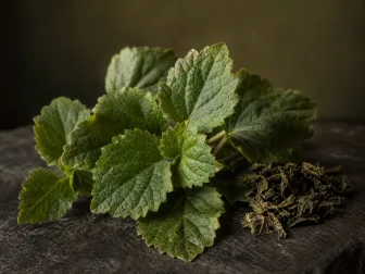 Immagine evocativa dell’accordo olfattivo patchouli