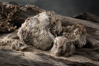 Frammenti chiari e irregolari di ambra grigia su legno e sabbia