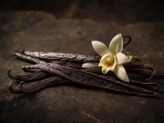 Immagine evocativa dell’accordo olfattivo vaniglia