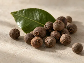 Bacche brune di pimento con foglia verde