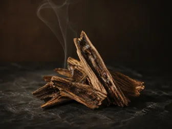 Immagine evocativa dell’accordo olfattivo oud