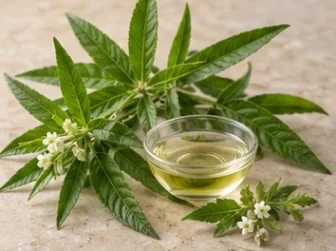 Foglie verdi e piccoli fiori chiari accanto a una ciotola di essenza evocativa della verbena