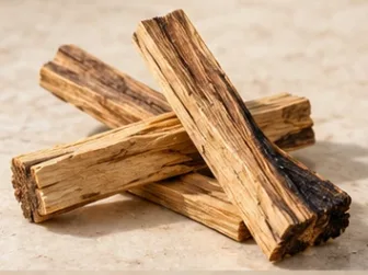 Rappresentazione evocativa: palo santo