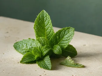 Immagine evocativa dell’accordo olfattivo menta