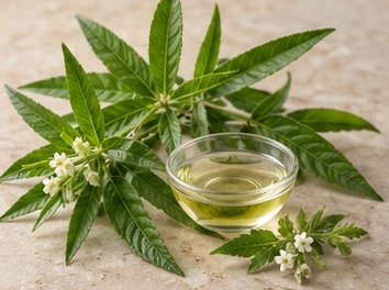 Foglie verdi e piccoli fiori chiari accanto a una ciotola di essenza evocativa della verbena