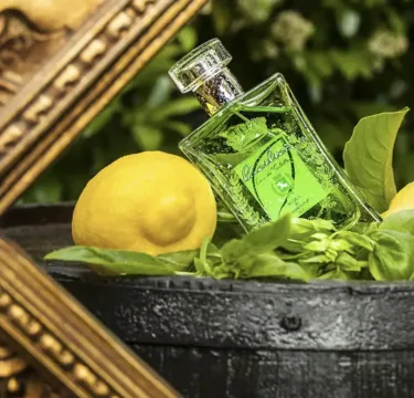 Bacilicò Eau de Toilette 100 spray