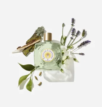 English Lavender Eau de Toilette 320 spray