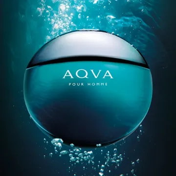 Aqua Eau de Toilette 100 spray