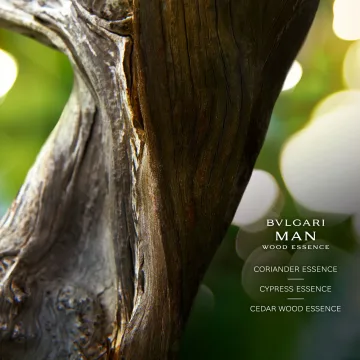Man Wood Essence Parfum 60 spray