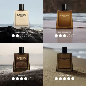 Hero Eau de Parfum 100 spray