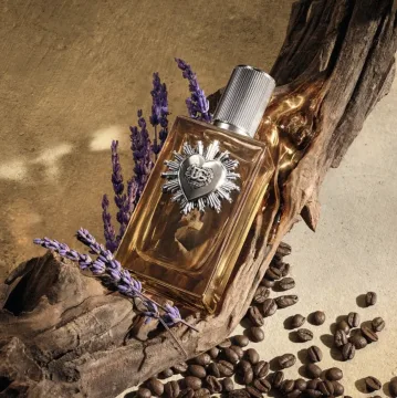 Devotion pour Homme Parfum 100 spray