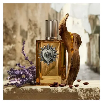 Devotion pour Homme Parfum 50 spray