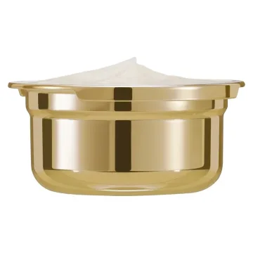 Dolce & Gabbana Ever-Youth Gold Peptides Cream 50 ml Refill