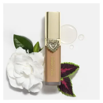 Everlast Concealer 11 ml