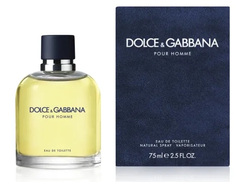 Dolce & Gabbana Homme Eau de Toilette 75 spray