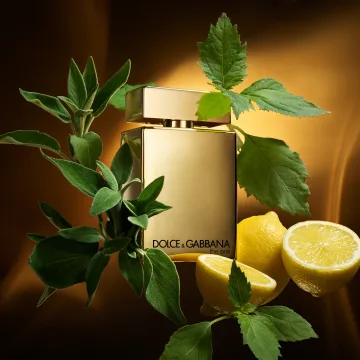 The One Gold Men Eau de Parfum Intense 50 spray