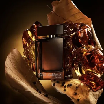 The One Men Parfum 100 spray