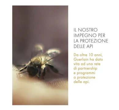 Screenshot 2026 06 19 alle 19.27.38