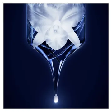 Orchidee Imperiale Le Concentre De Longevite 30 ml