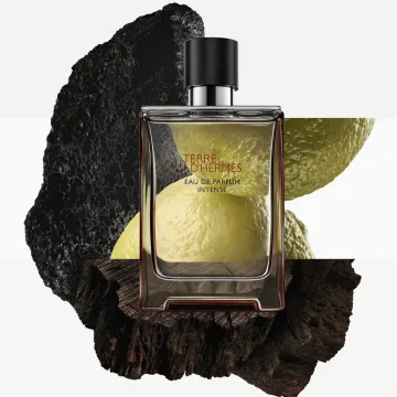 Terre Eau de Parfum Intense 50 spray