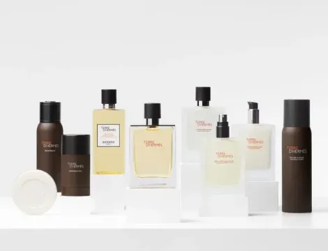 Terre Eau de Toilette 50 spray