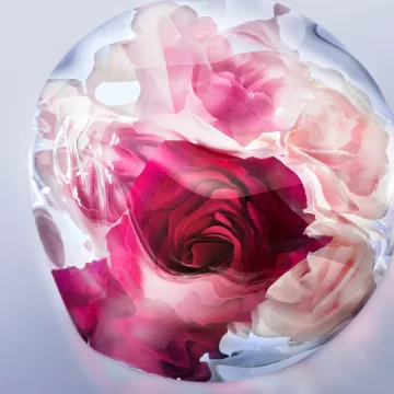 La Vie Est Belle Rose Extraordinaire Eau de Parfum 50 spray