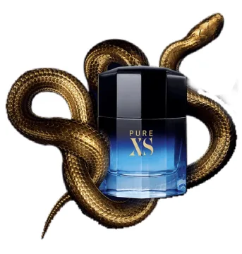 Pure XS Eau de Toilette 100 spray