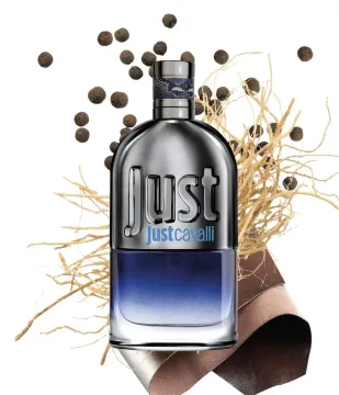 Roberto Cavalli Just Him Eau de Toilette 90 spray