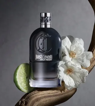 Roberto Cavalli