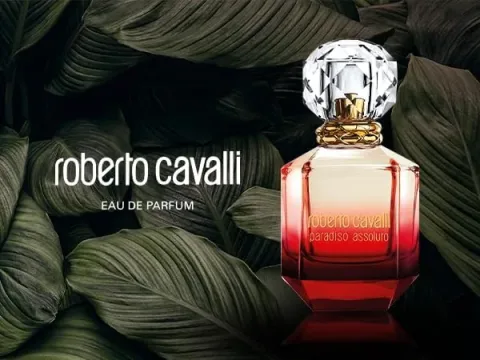 Paradiso Assoluto Eau de Parfum 50 spray