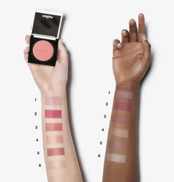 Le Phyto Blush 6.5g.