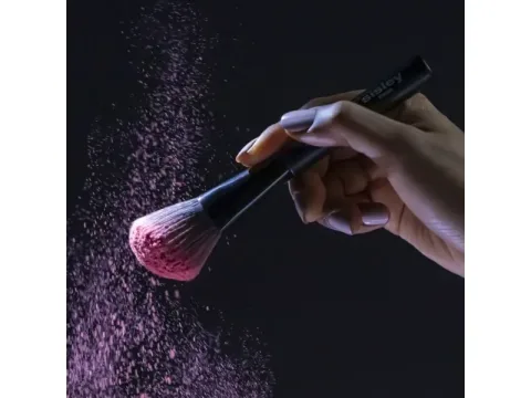 Pinceau Blush