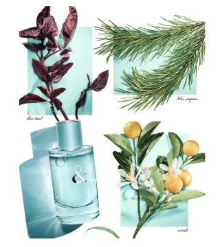 Love Eau de Parfum 50 spray