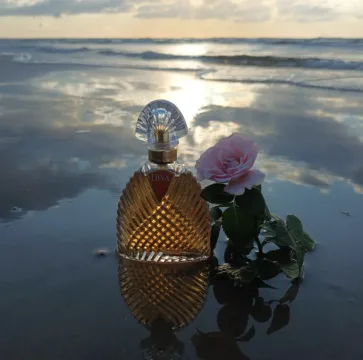 Diva Eau de Parfum 100 spray