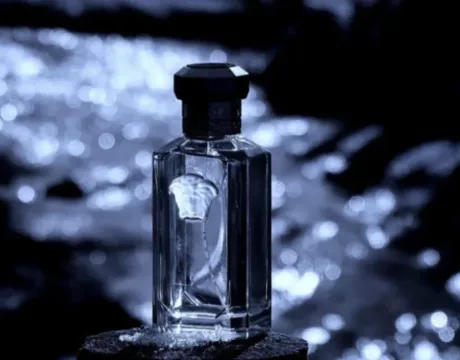 The Dreamer Eau de Toilette 100 spray