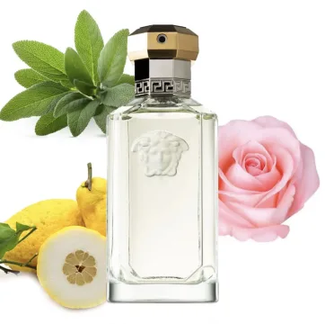 The Dreamer Eau de Toilette 100 spray