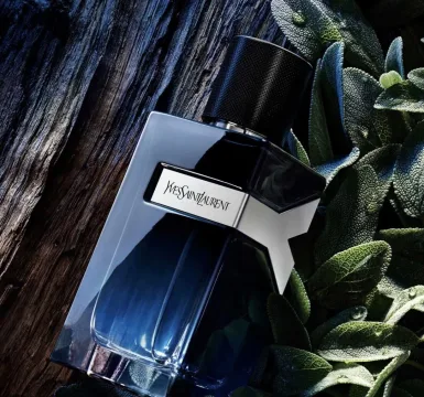 Y Eau de Parfum 60 spray