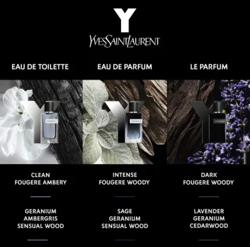 Y Le Parfum 100 spray*