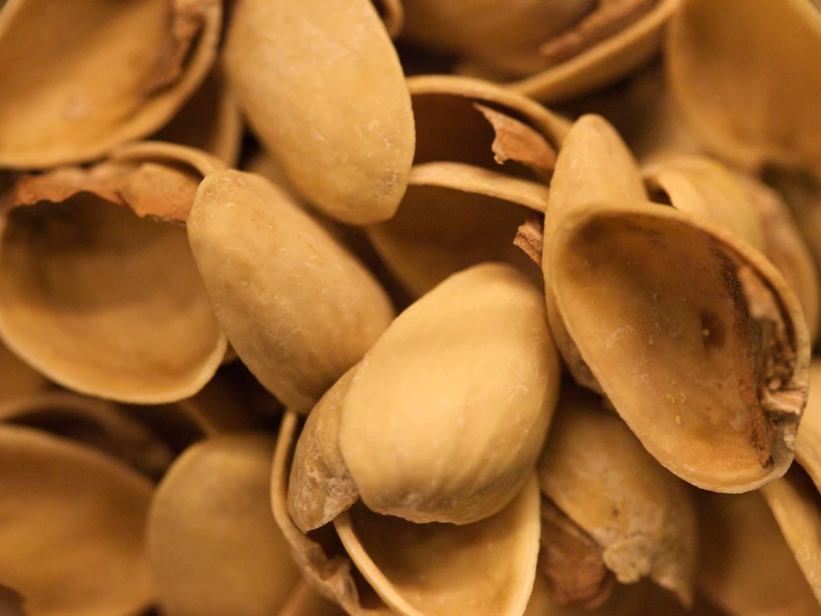 Immagine evocativa dell’accordo olfattivo Pistacchio